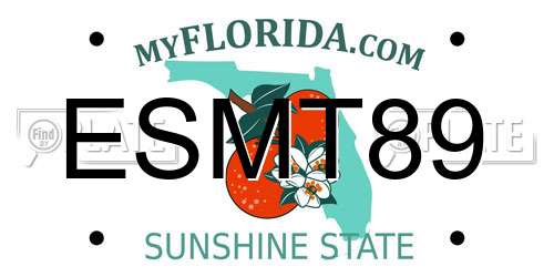 ESMT89 Florida License Plate