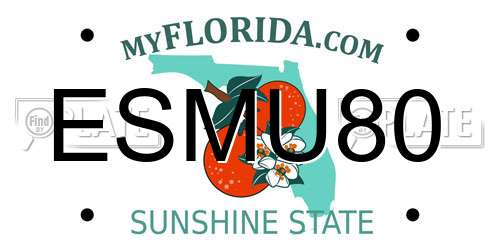 ESMU80 Florida License Plate