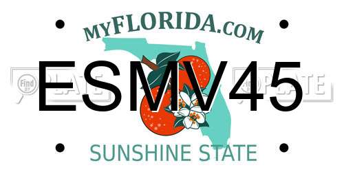 ESMV45 Florida License Plate