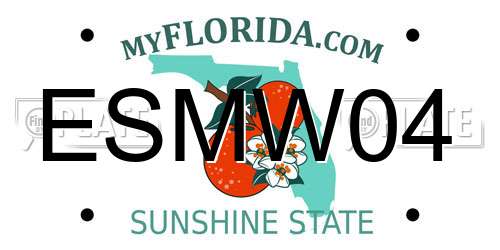 ESMW04 Florida License Plate