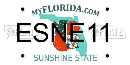 ESNE11 Florida License Plate