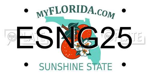 ESNG25 Florida License Plate