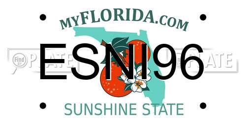 ESNI96 Florida License Plate