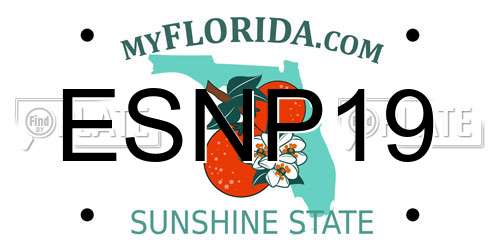 ESNP19 Florida License Plate