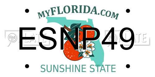 ESNP49 Florida License Plate