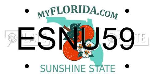 ESNU59 Florida License Plate