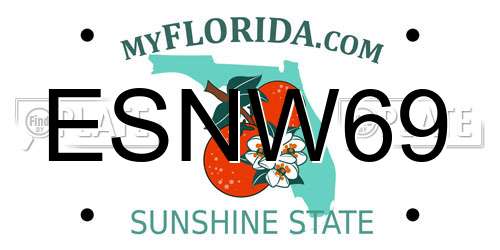 ESNW69 Florida License Plate