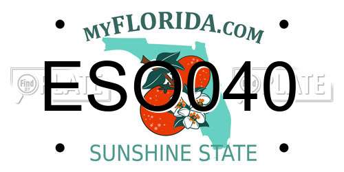 ESO040 Florida License Plate