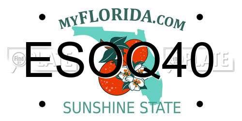 ESOQ40 Florida License Plate