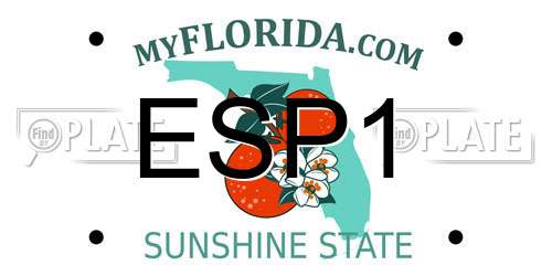 ESP1 Florida License Plate