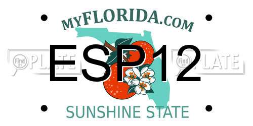 ESP12 Florida License Plate