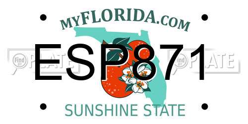 ESP871 Florida License Plate
