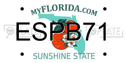 ESPB71 Florida License Plate