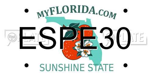 ESPE30 Florida License Plate