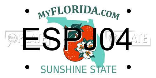 ESPJ04 Florida License Plate