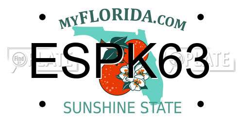 ESPK63 Florida License Plate