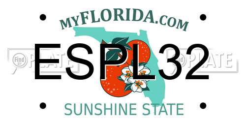 ESPL32 Florida License Plate