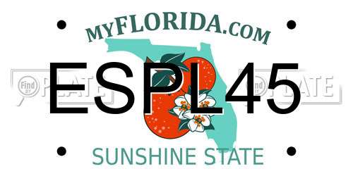 ESPL45 Florida License Plate