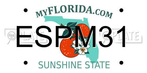 ESPM31 Florida License Plate