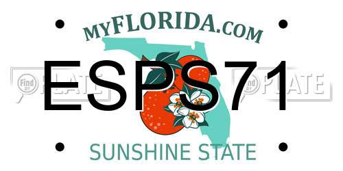 ESPS71 Florida License Plate