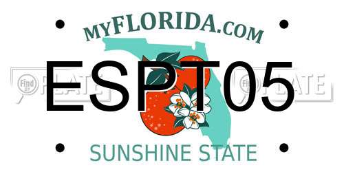 ESPT05 Florida License Plate