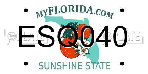ESQ040 Florida License Plate