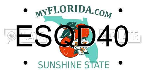 ESQD40 Florida License Plate