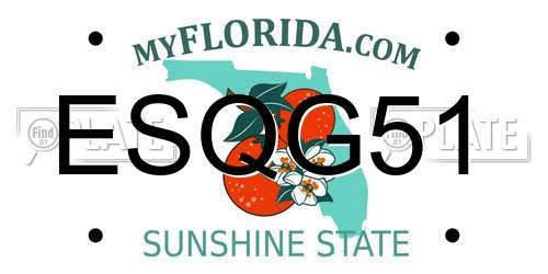 ESQG51 Florida License Plate