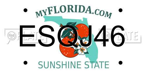 ESQJ46 Florida License Plate