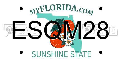 ESQM28 Florida License Plate