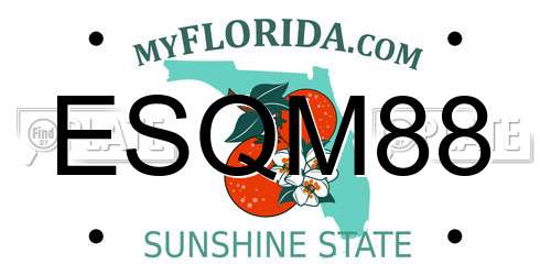 ESQM88 Florida License Plate