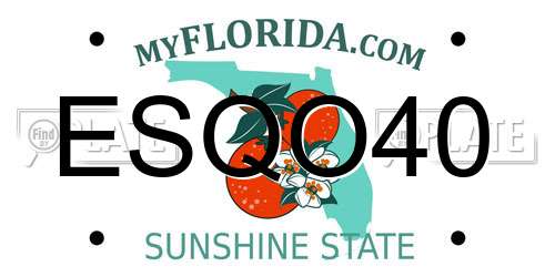 ESQO40 Florida License Plate