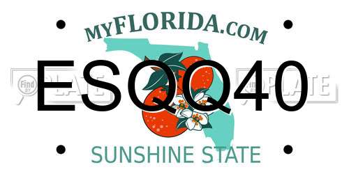 ESQQ40 Florida License Plate