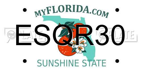 ESQR30 Florida License Plate