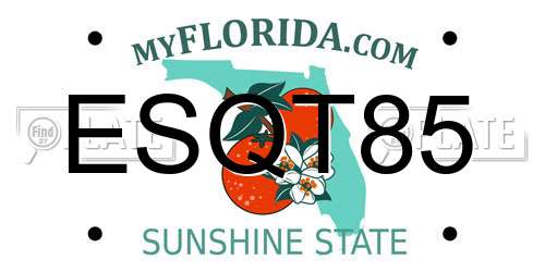 ESQT85 Florida License Plate