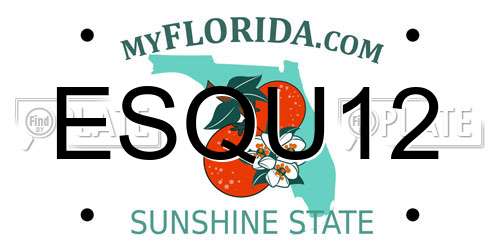 ESQU12 Florida License Plate