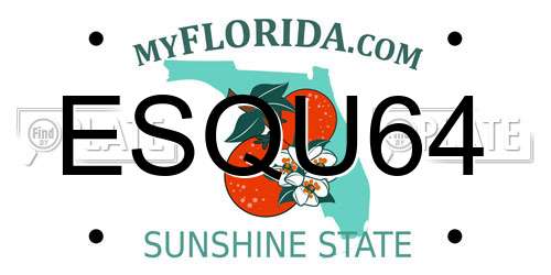 ESQU64 Florida License Plate