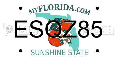 ESQZ85 Florida License Plate