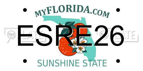 ESRE26 Florida License Plate