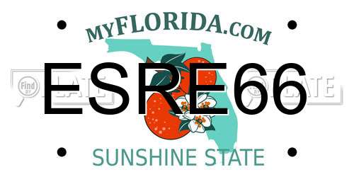 ESRE66 Florida License Plate
