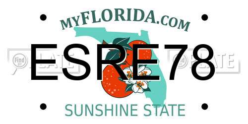 ESRE78 Florida License Plate