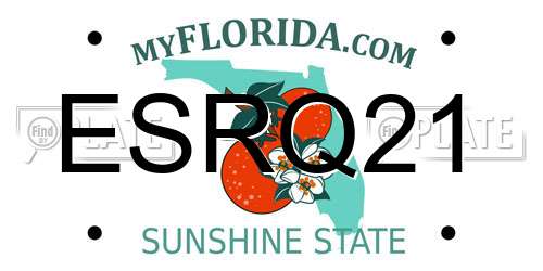 ESRQ21 Florida License Plate