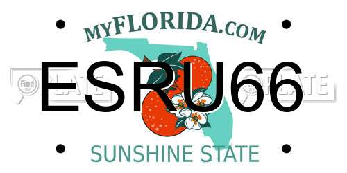 ESRU66 Florida License Plate