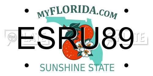 ESRU89 Florida License Plate