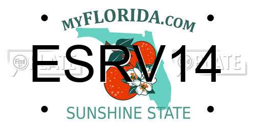 ESRV14 Florida License Plate