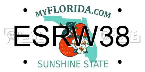 ESRW38 Florida License Plate