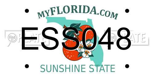 ESS048 Florida License Plate