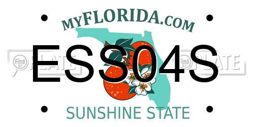 ESS04S Florida License Plate