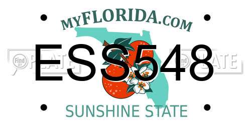 ESS548 Florida License Plate