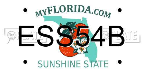 ESS54B Florida License Plate